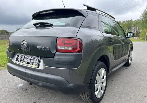 Citroen C4 Cactus cena 39900 przebieg: 96898, rok produkcji 2017 z Żory małe 254